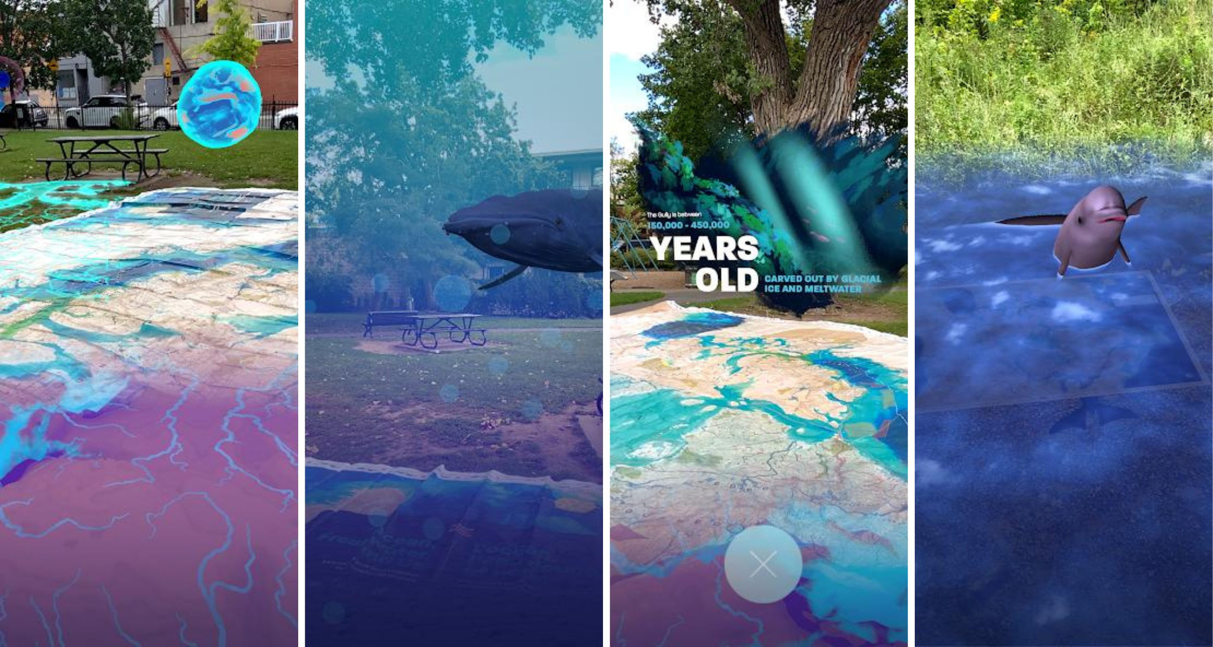 Four screenshots from the Ocean Week Canada app showing that the app allows users to view points of information, 3D models of animals, and video by looking at the giant floor map through a smartphone.