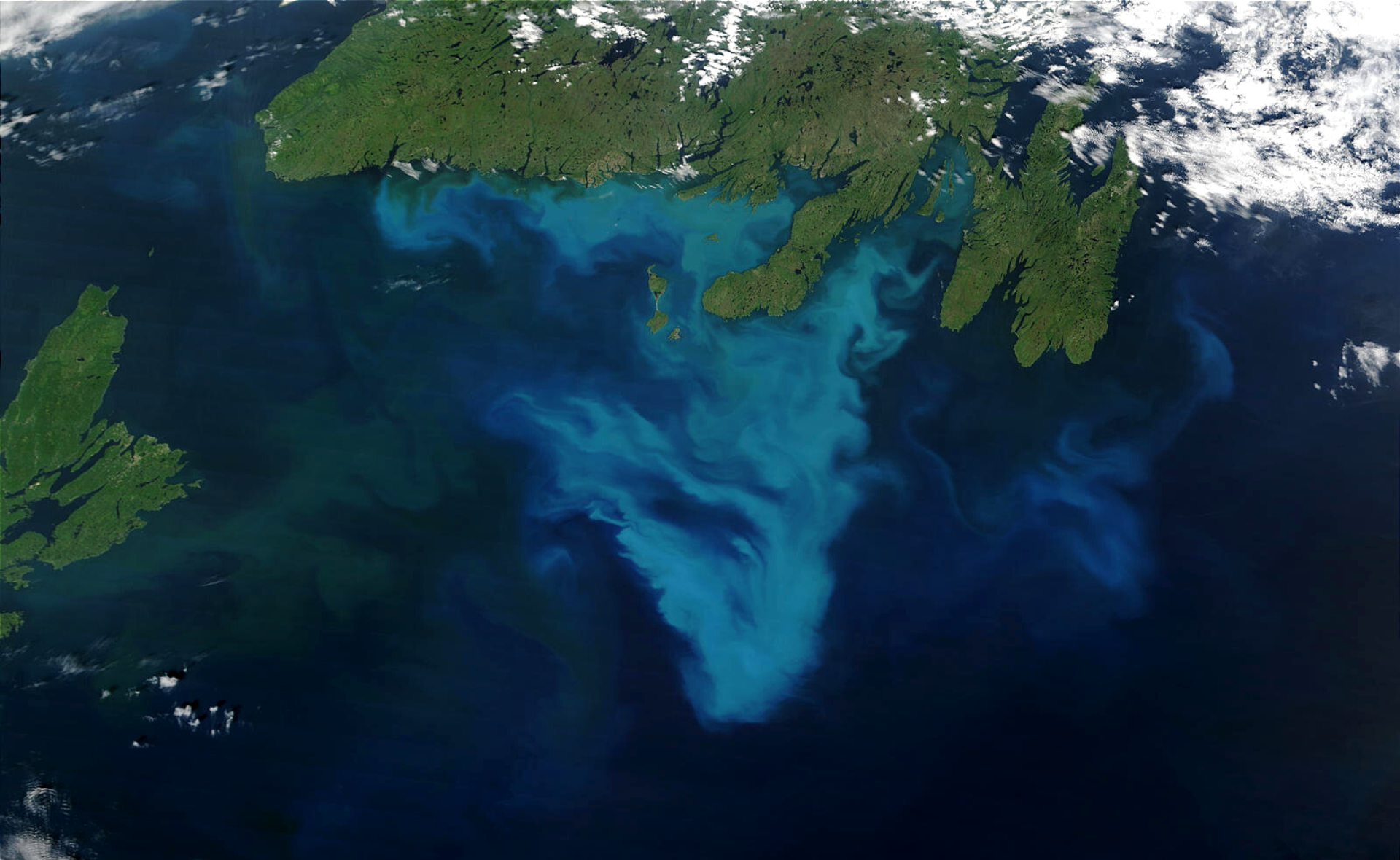 Phytoplankton bloom off Newfoundland, Canada. In the waters of the Atlantic Ocean, south of Newfoundland, Canada, a brightly colored blue swirl indicates the presence of an ongoing phytoplankton bloom.