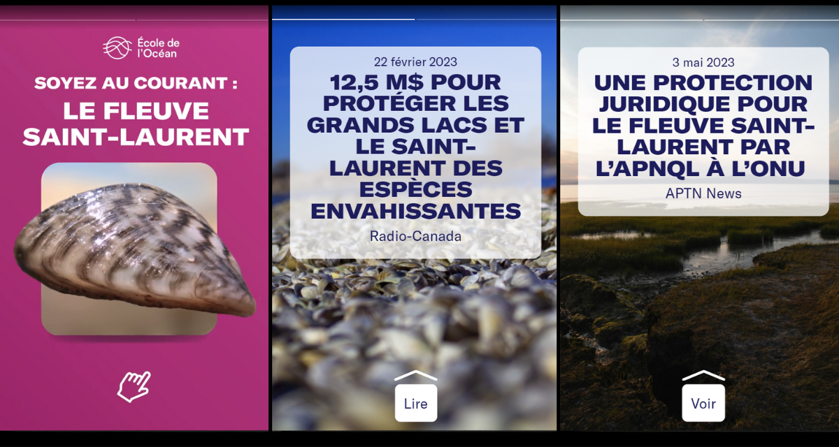 Aperçu du bande d'actualités "Soyez au courant : Le fleuve Saint-Laurent". L'image de couverture présente le logo de l'École de l'Océan, le titre écrit en majuscules et une image de moule zébrée. Deux articles sont présentés avec leur dates et leur titres. Le premier article provient de Radio-Canada et a été publié le 22 février 2023. Le titre est "12.5 million dollars pour protéger le Saint-Laurent et les Grands Lacs  des espèces envahissantes. Le deuxième article, publié le 3 mai 2023 par APTN News, a pour titre "Une protection juridique pour le fleuve Saint-Laurent par l'APNQL à l'ONU".