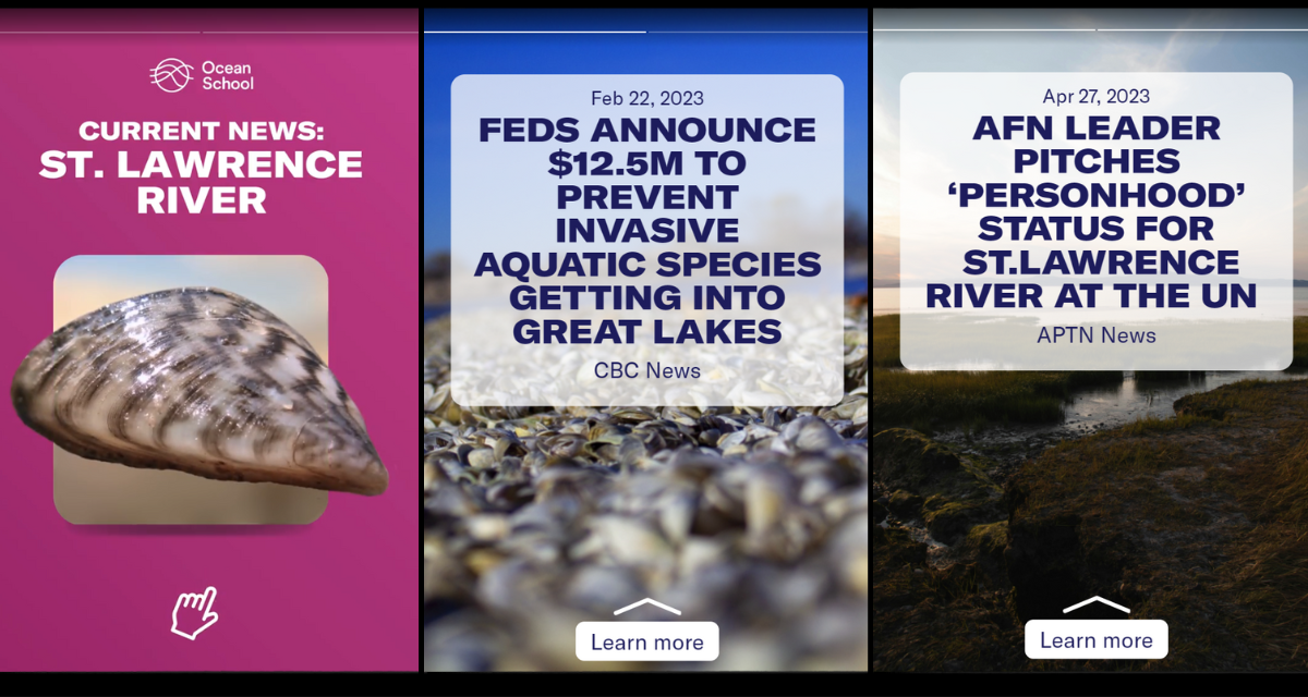 A preview of the newsreel "Current news: St. Lawrence River. The cover image has the Ocean School logo, the title written in capital letters, and a picture of a zebra mussel. Two articles in the newsreel are shown with their dates and headlines. The first article is from CBC News, published Feb. 25, 2023, and the headline reads "Feds announce 12.5 million dollars to prevent invasive aquatic species from getting into Great Lakes." The second article is from April  27, 2023, by APTN News, and the headline reads, "AFN leader pitches 'personhood' status for St. Lawrence River at the UN."