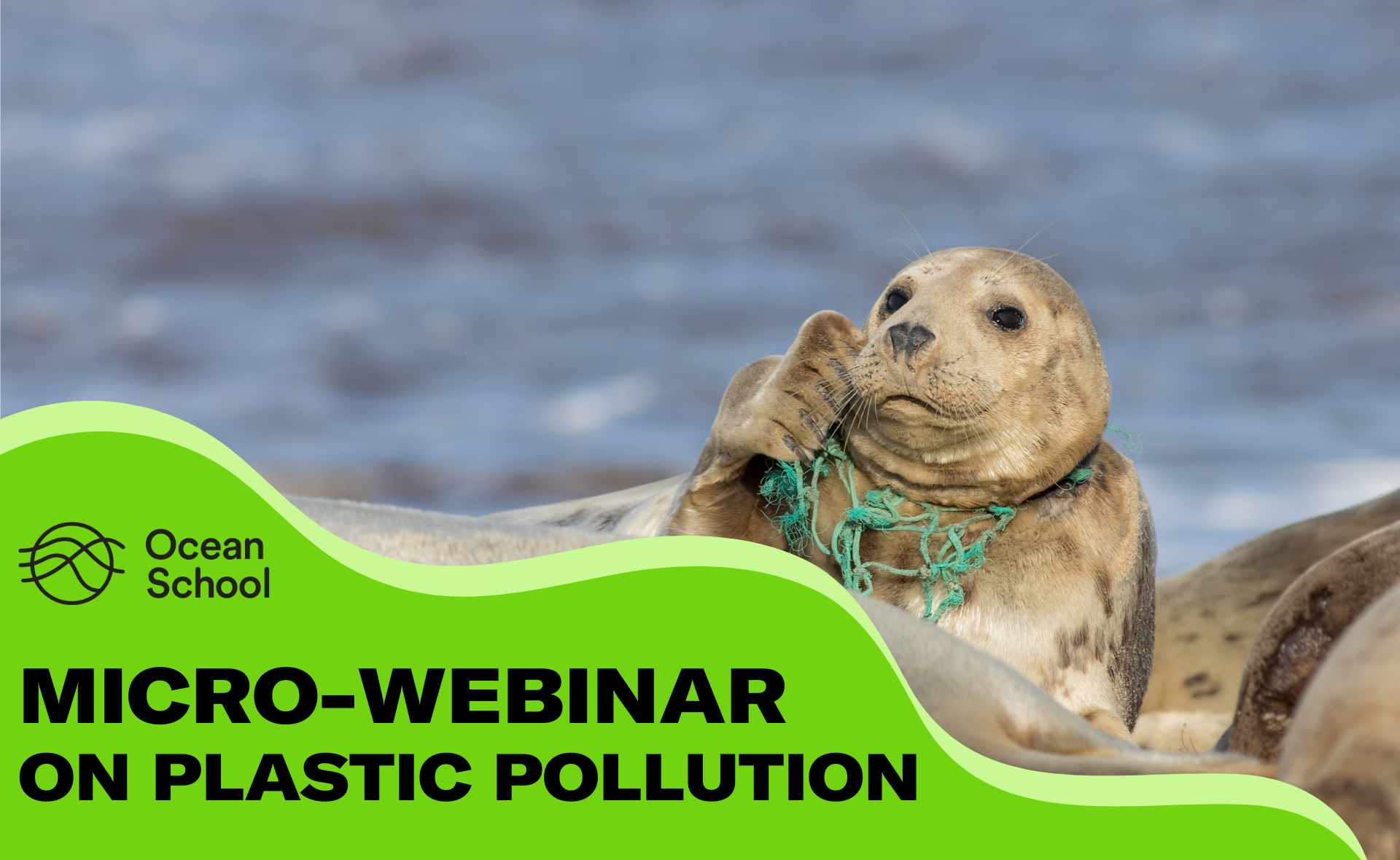 Promotional poster for the micro-webinars on plastic pollution.