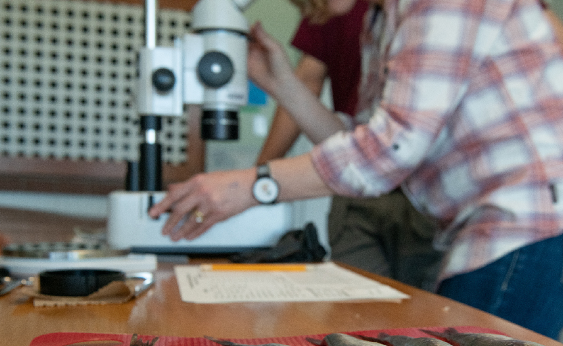 Two people are looking into a microscope. There is a notepad and a pen next to them.