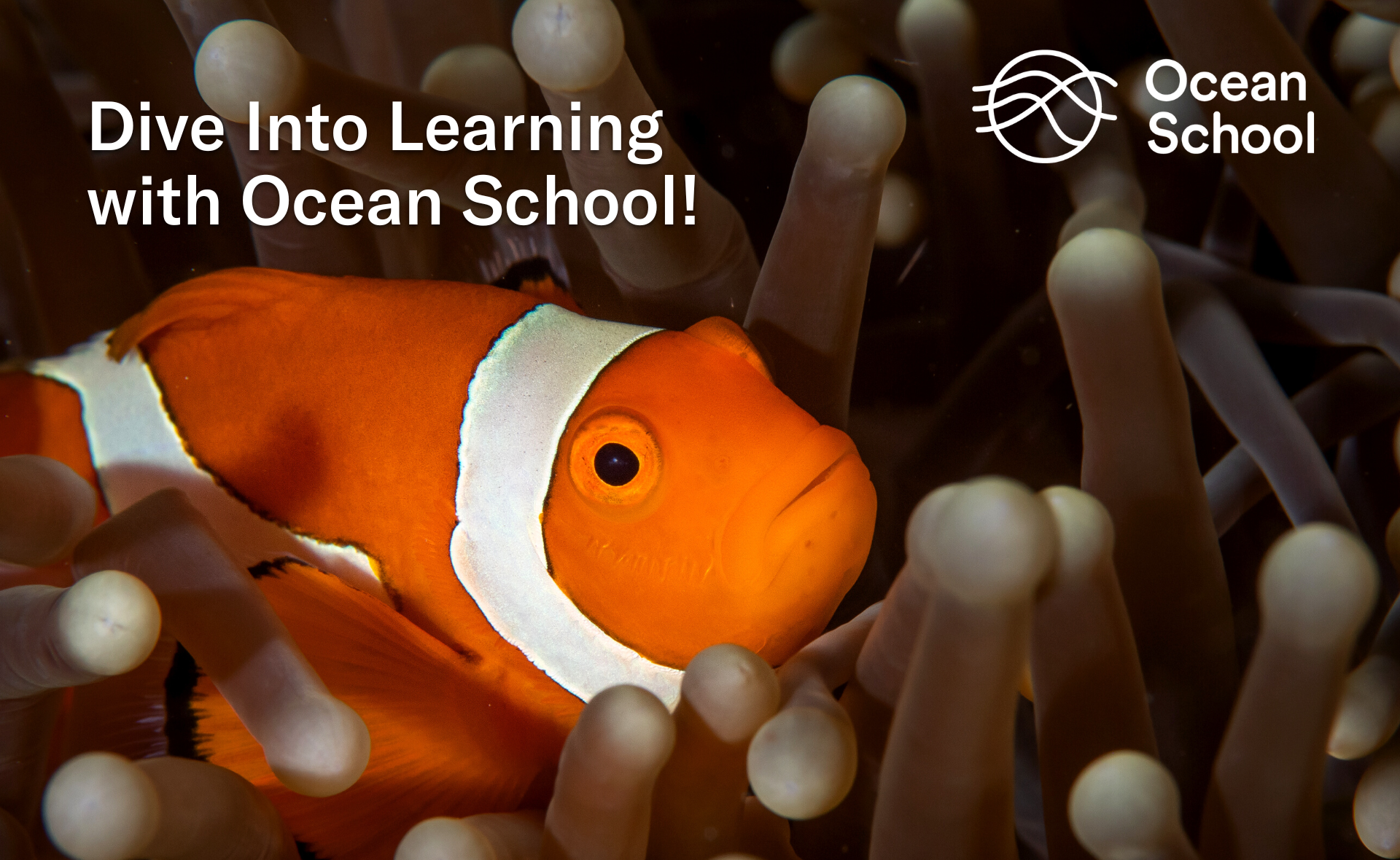 Promotional poster of the Ocean School "Dive Into Learning" information session. The background picture is a goldfish swimming through a brown aquatic plant.