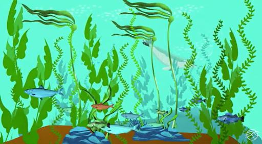 Image tirée du film d'animation « L'habitat fait l'habitant » montrant une forêt de varech remplie de poissons.