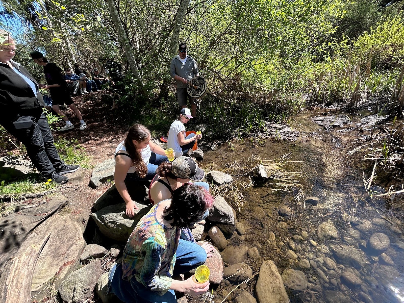 4 students sit at the edge of a creek in a forest. They are holding cups with salmon fry to release into the stream. An adult with a drum stands in the background.