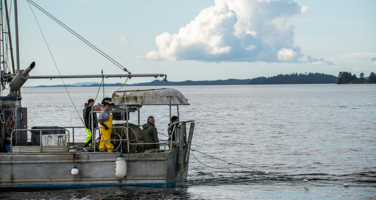 Four fishermen are on a fishing boat in the middle of a lake. They are looking at the fishing net in the water that is attached to their boat.