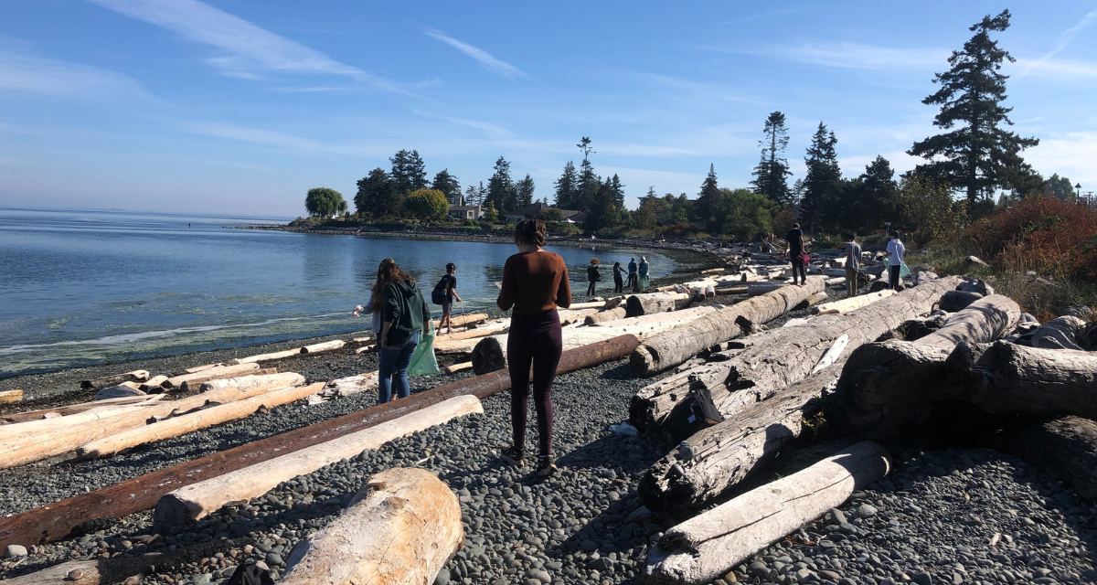 Des élèves se trouvent sur une plage et regardent vers le bas en prenant des notes. De gros morceaux de bois recouvrent la plage.