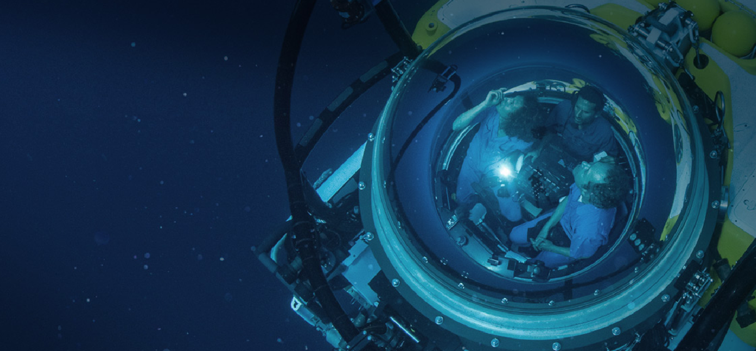 Diving in the DEEPSEE submersible.