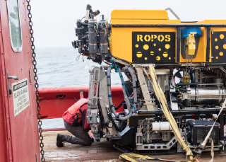 Creativity, innovation and entrepreneurship rubric