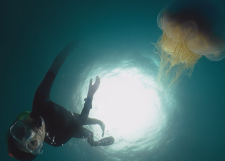 360° videos