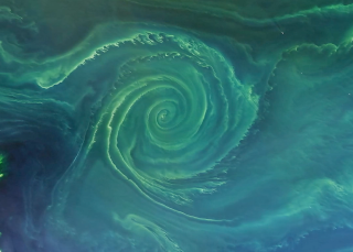 La pompe à carbone biologique