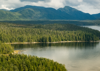 All the ways of knowing (Interactive trailer)