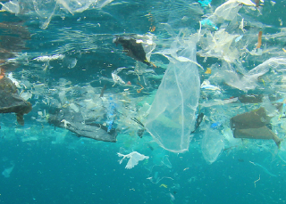 Plastic interactives