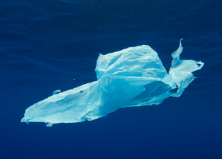 Plastic then and now