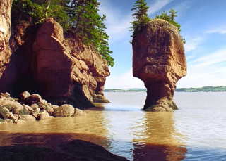 Awesome soup: Recipe challenge