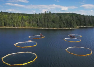 Between a rock and a hard place