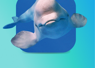 Bio-buddies: Threats to biodiversity
