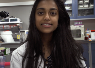 Take action for right whales