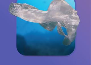 Current news: Plastic pollution