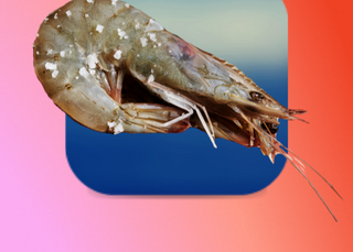 Soyez au courant&nbsp;: Chalutage interdit