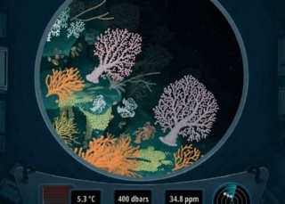 Plongée dans le Gully