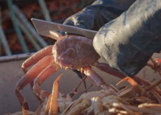 La vie d'un pêcheur