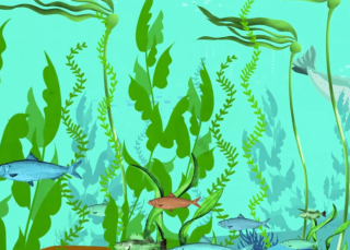 Off-the-hook habitats