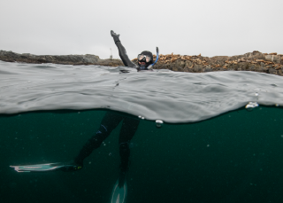 Plastic through time