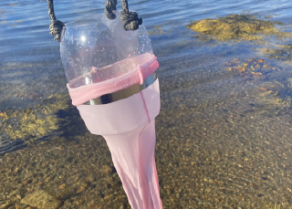 Plastics on trial: Babylegs