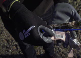 The cost of convenience