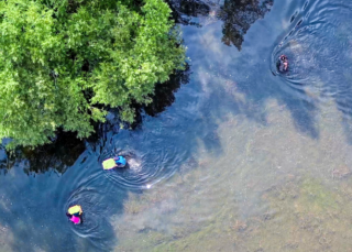 What's in the water?