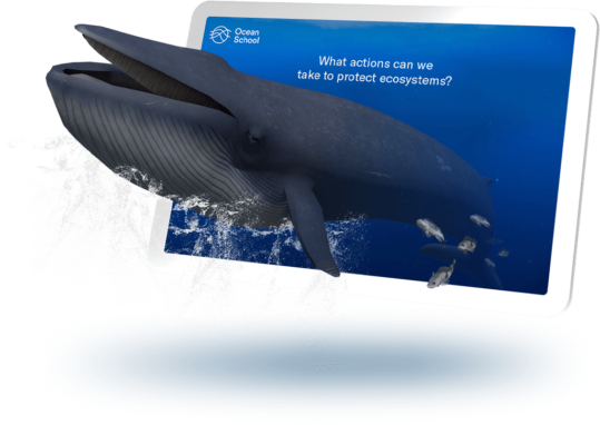 A whale emerges from a tablet screen.