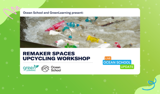 Virtual workshop: ReMaking with Household Plastics