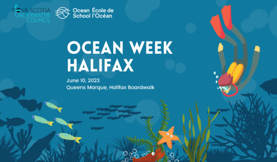 Celebrate Ocean Week Halifax with Ocean School