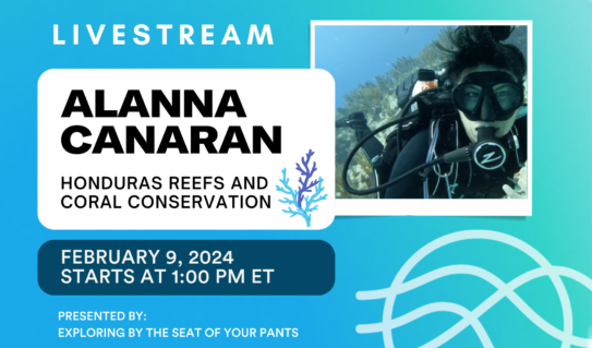 VIDEO: Raising Coral Bleaching Awareness with Alanna Canaran and Exploring by the Seat of Your Pants