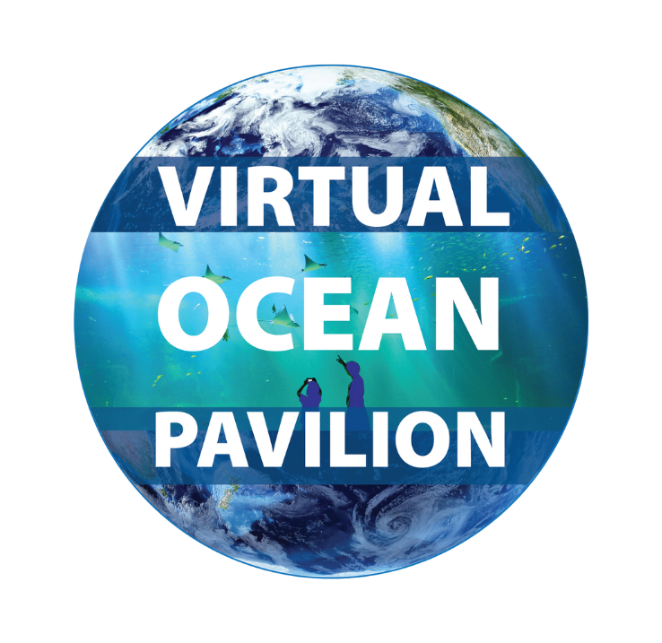 Logo for the virtual ocean pavilion at the 27th Conference of the Parties to the United Nations Framework Convention on Climate Change (COP27). The logo looks like planet Earth with the words "Virtual ocean pavilion" written in capital letters.
