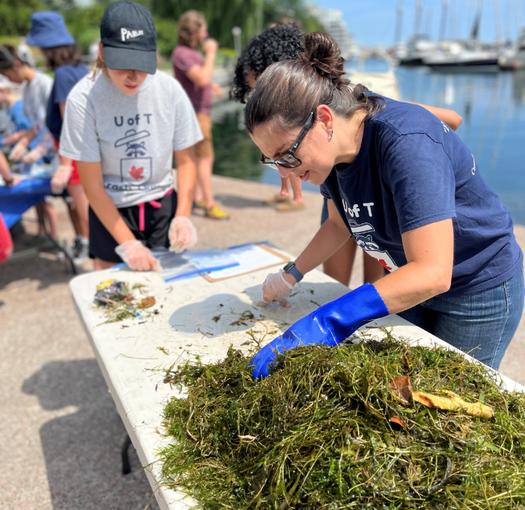 Rafaela F. Gutierrez leans over a plastic table and goes through a pile of seaweed. Two volunteers are standing next to her and taking notes.