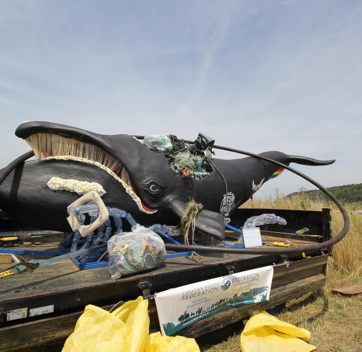 Sculpture d'une baleine franche entourée de déchets en plastique.