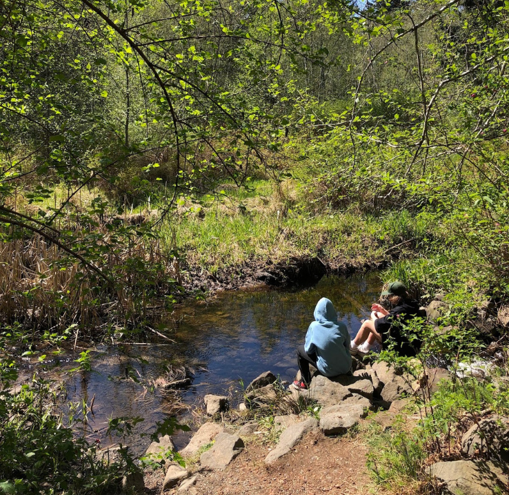 Two students sit on rocks on the edge of a creek in a forest.