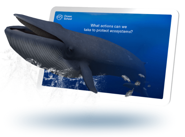 Une baleine émergeant de l'écran d'une tablette.