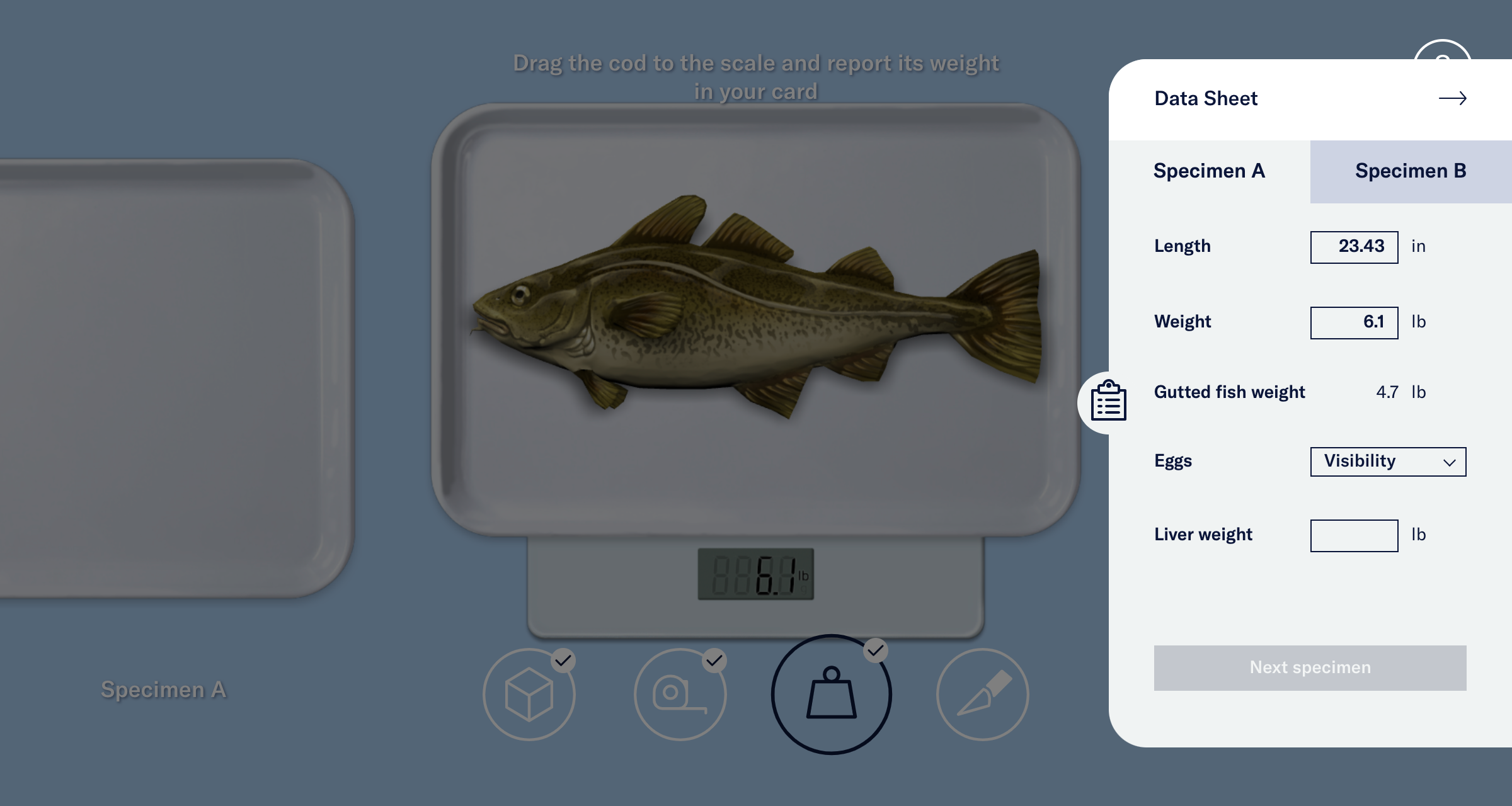 A screenshot from the virtual dissection, "Anatomy of a cod" showing a virtual clipboard labeled "Data sheet" where the user can enter data about the cod like its length and weight.