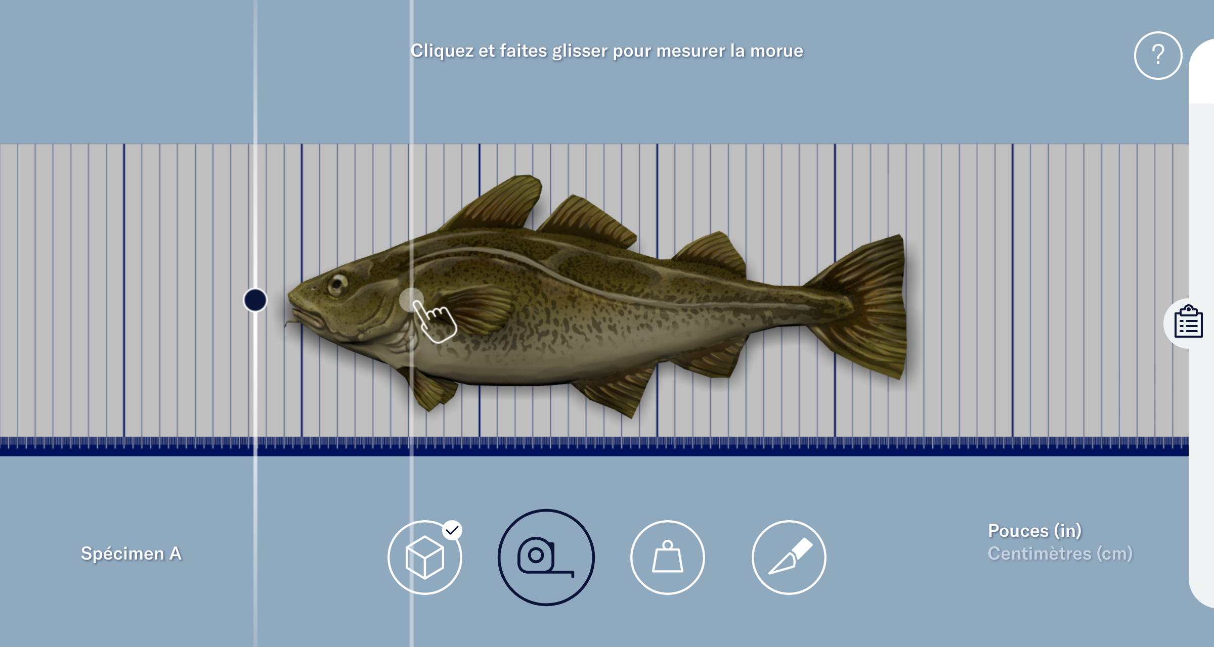 Capture d’écran de la dissection virtuelle « Anatomie d’une morue » montrant l’utilisateur la faisant glisser sur une règle virtuelle pour mesurer le corps de la morue.