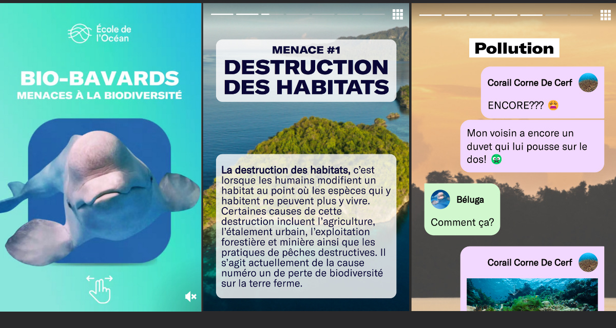 Trois captures d’écran de l'activité interactive « Bio-bavards: menaces à la biodiversité » qui passe en revue les menaces mondiales à la biodiversité et comment les animaux en sont touchés à travers un fil de messages texte envoyés par les animaux. La première capture d’écran est la couverture qui présente un béluga. La deuxième capture d’écran montre le haut de la page avec le titre « Menace #1, Destruction de l’habitat. » La troisième capture d’écran montre une série de bulles de clavardage dans une conversation entre un coral et un béluga.