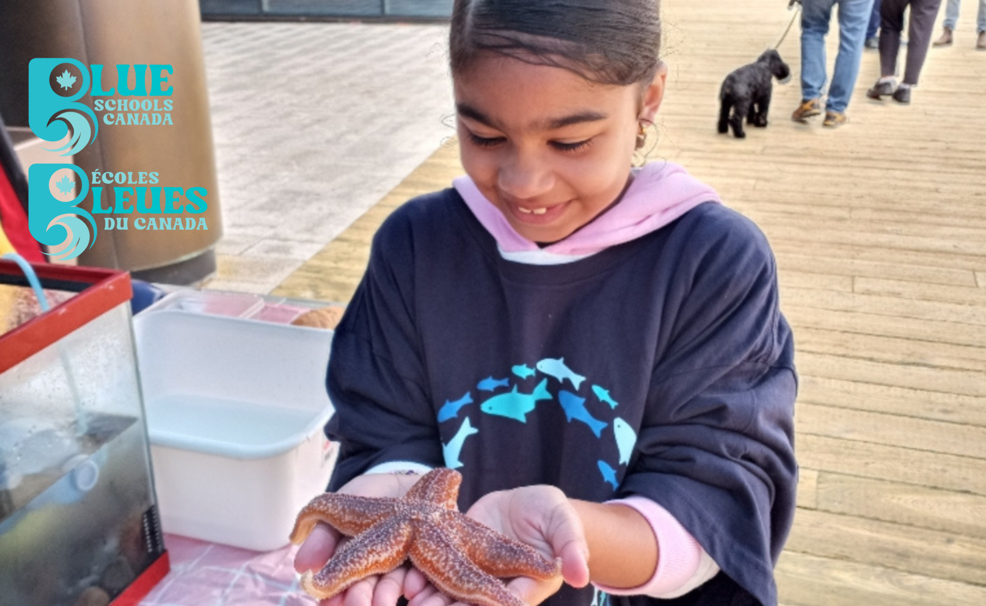 A smiling young girl holds a live starfish in two hands. The Blue Schools Canada logo is in the top left corner.