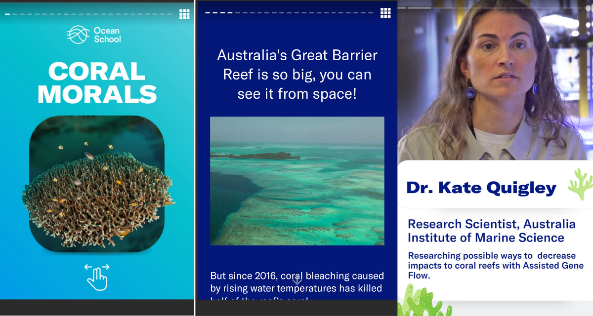 Three screenshots from the interactive "Coral morals" that explores ethical issues related to breeding coral. The first screenshot is a cover image. The second screenshot is a headline that reads "Australia's Great Barrier Reef is so big you can see it from space!" The third screenshot is a headshot of coral scientist Kate Quigley.