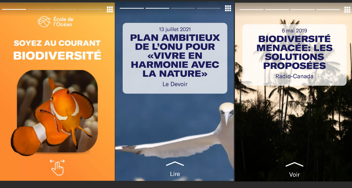Capture d’écran de « Soyez au courant: Biodiversité » soulignant certains des titres des articles inclus dans l’expérience.
