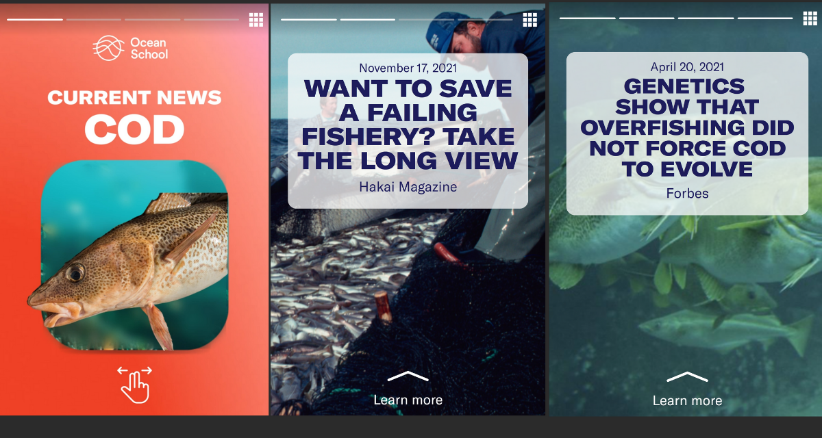 A screenshot from the interactive newsreel, "Current news: Cod" highlighting some of the headlines of articles included in the experience.