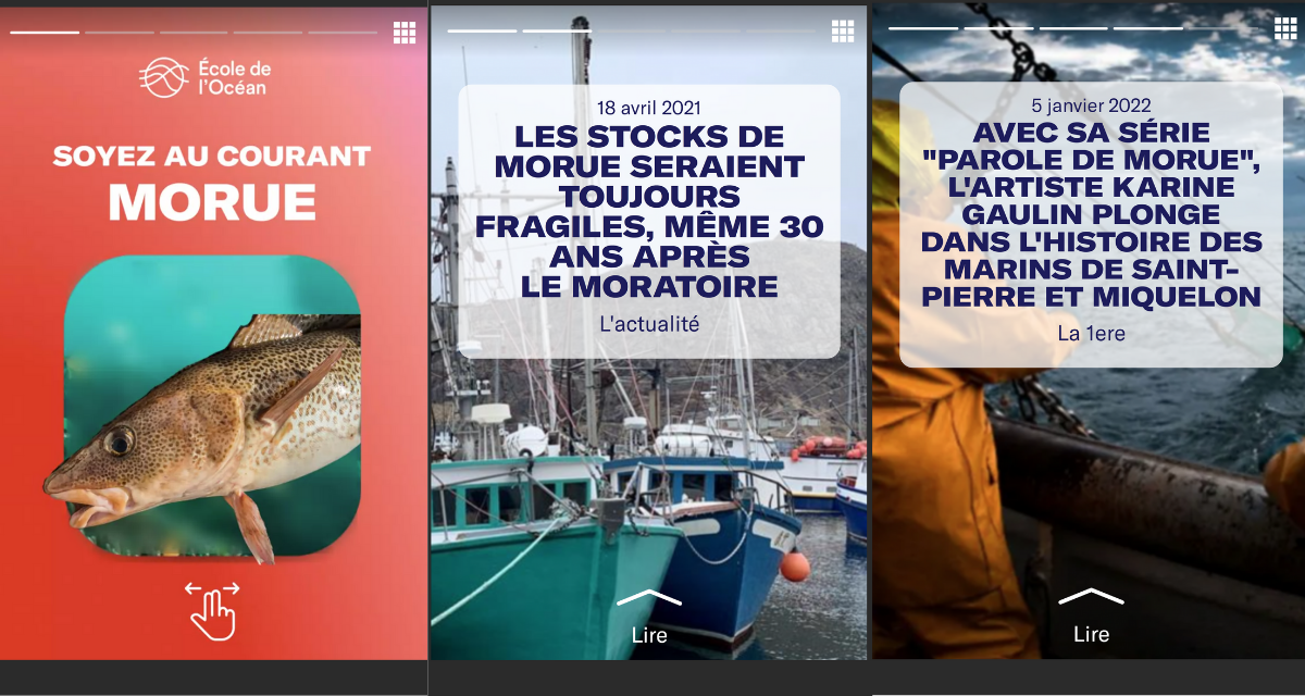 Capture d’écran de « Soyez au courant: Morue » soulignant certains des titres des articles inclus dans l’expérience.