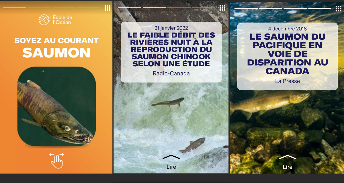 Capture d’écran de « Soyez au courant: Saumon » soulignant certains des titres des articles inclus dans l’expérience.