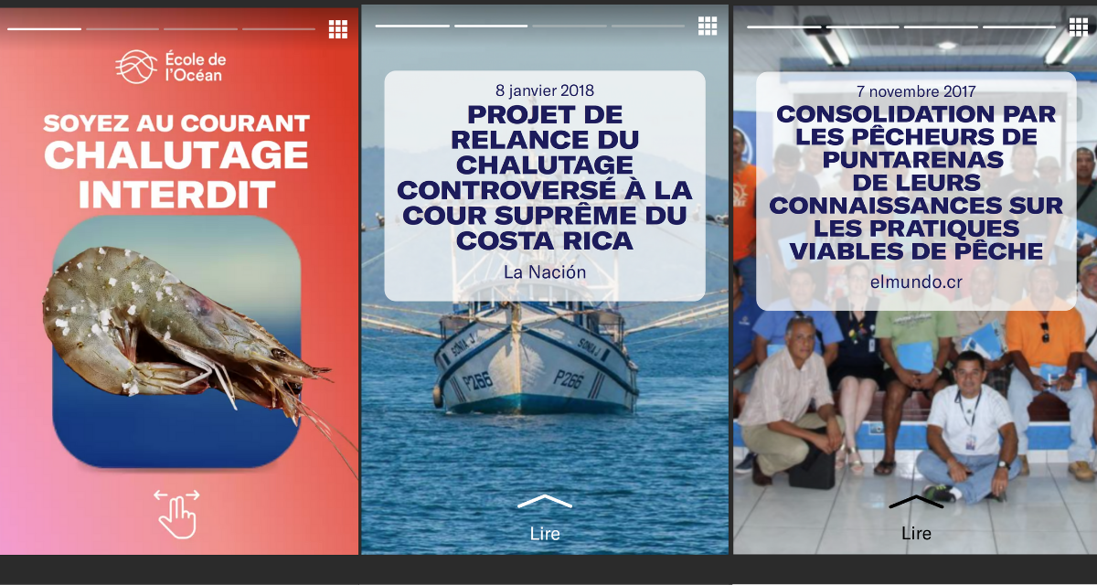 Capture d’écran de « Soyez au courant: Chalutage interdit » soulignant certains des titres des articles inclus dans l’expérience.